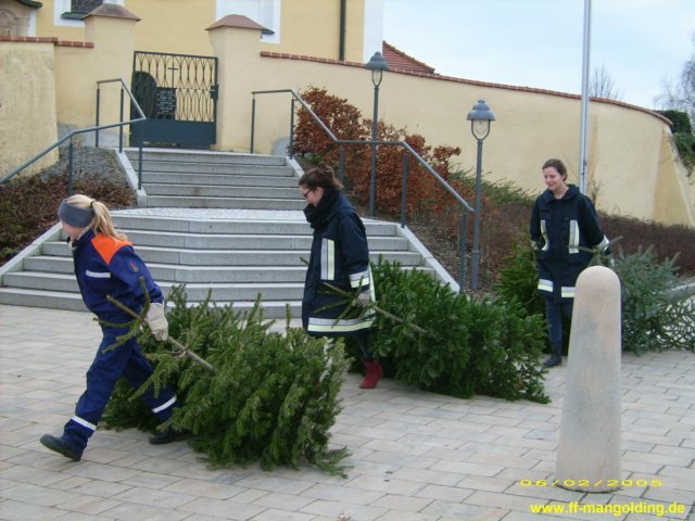 christbaumsammeln2.jpg