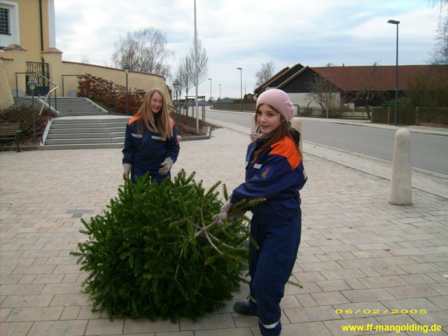 christbaumsammeln3.jpg